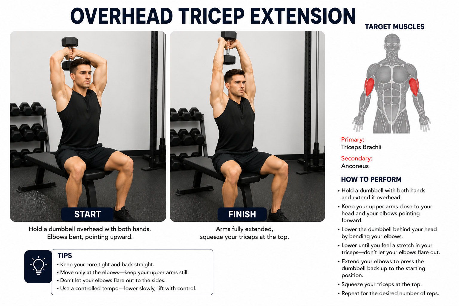 Overhead Tricep Extension